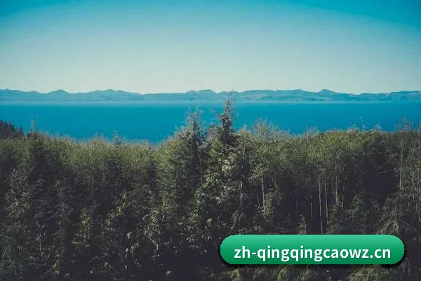 青青草网址 APP